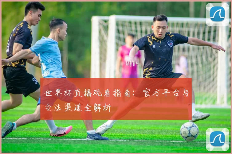 世界杯直播观看指南：官方平台与合法渠道全解析