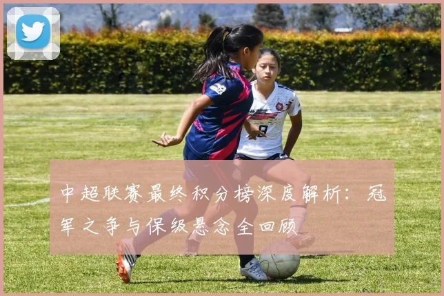 中超联赛最终积分榜深度解析：冠军之争与保级悬念全回顾