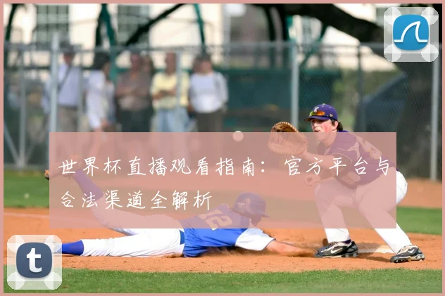 世界杯直播观看指南：官方平台与合法渠道全解析